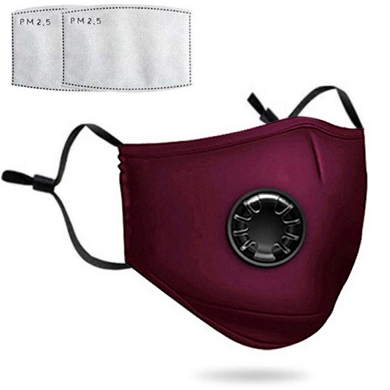 Download PM 2.5 Face Mask With Valve Element Prevent Pollution ...